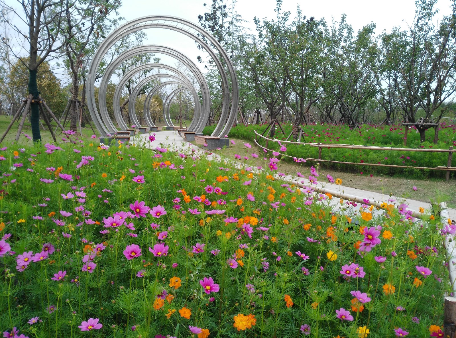 IMG_5204_看图王（生态通廊）.jpg