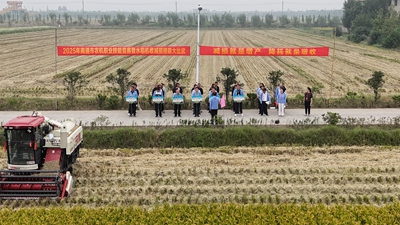 DJI_20251012095243_0426_D.JPG